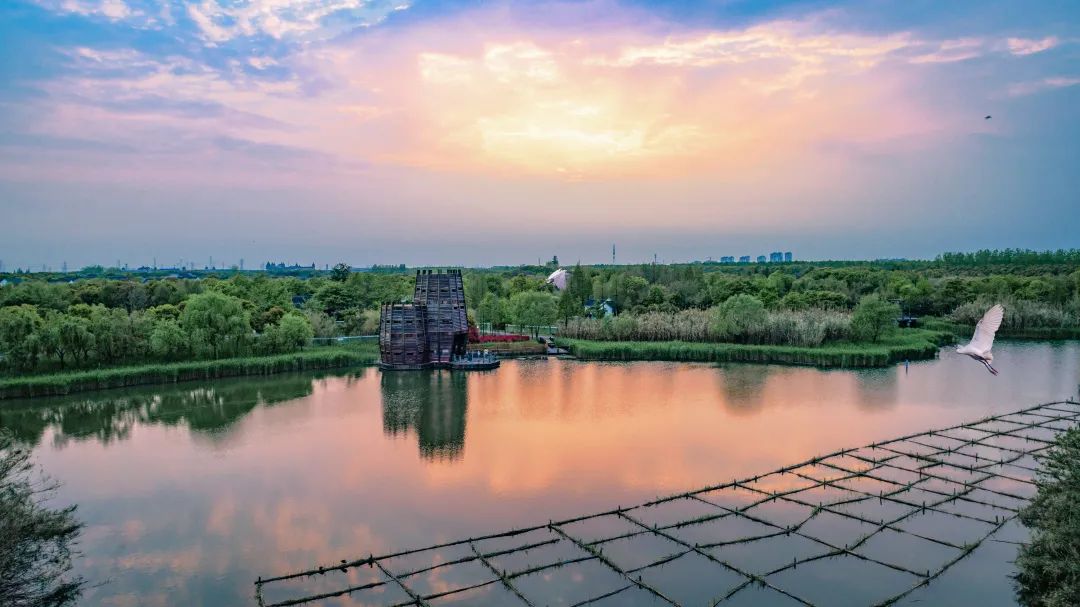 640 (15).jpg 640 (15).jpg